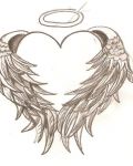 Heart ith brown wings