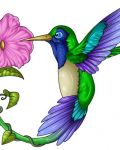 Hummingbird and flower tattoo design