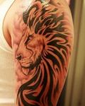 Lion with flames