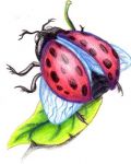 Ladybug on green leafs tattoo design