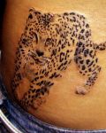 Leopard with black spots