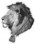 Lion with chain