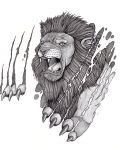 Lion rive the skin by claws