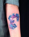Unicorn tattoo and colours