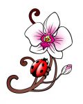 Orchid and ladybug