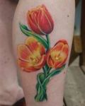 Orange tulips tattoo