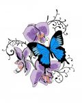 Three orchids and blue butterfly