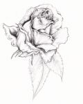 Rose tattoo design