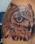 Owl head tattoo on arm
