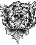 Peony with skull