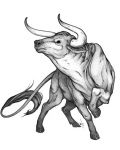 Bull tatoo design