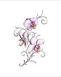 Orchid with black pattern