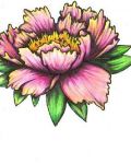 Pink peony tattoo design