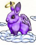 Violet rabbit with wings