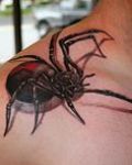 Realistic spider