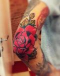Red rose on elbow