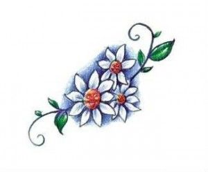 Three white daisies