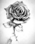 Awesome 3D rose