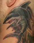 Dangerous shark on neck