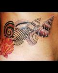 Shells tattoo