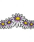 Five daisies