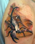 Tattoo 3D with scorpio