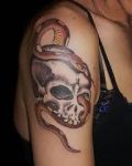 Tattoo with skull and snake