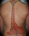 The giraffe tattoo on spine