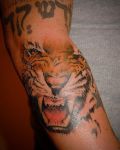 Tattoo with tiger