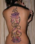 Design with lotus on spine