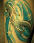 Two dolphins and stars tattoo