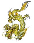 Yellow dragon tattoo design