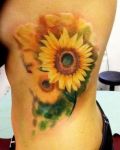 Yellow sunflower tattoo on rib