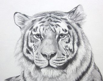 Tiger head tattoo design