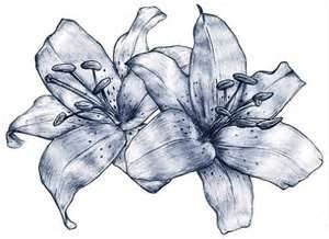 Fantastic design for tattoo